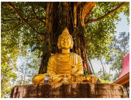 Buddha sitting at the bodhi tree | NUKANGA
