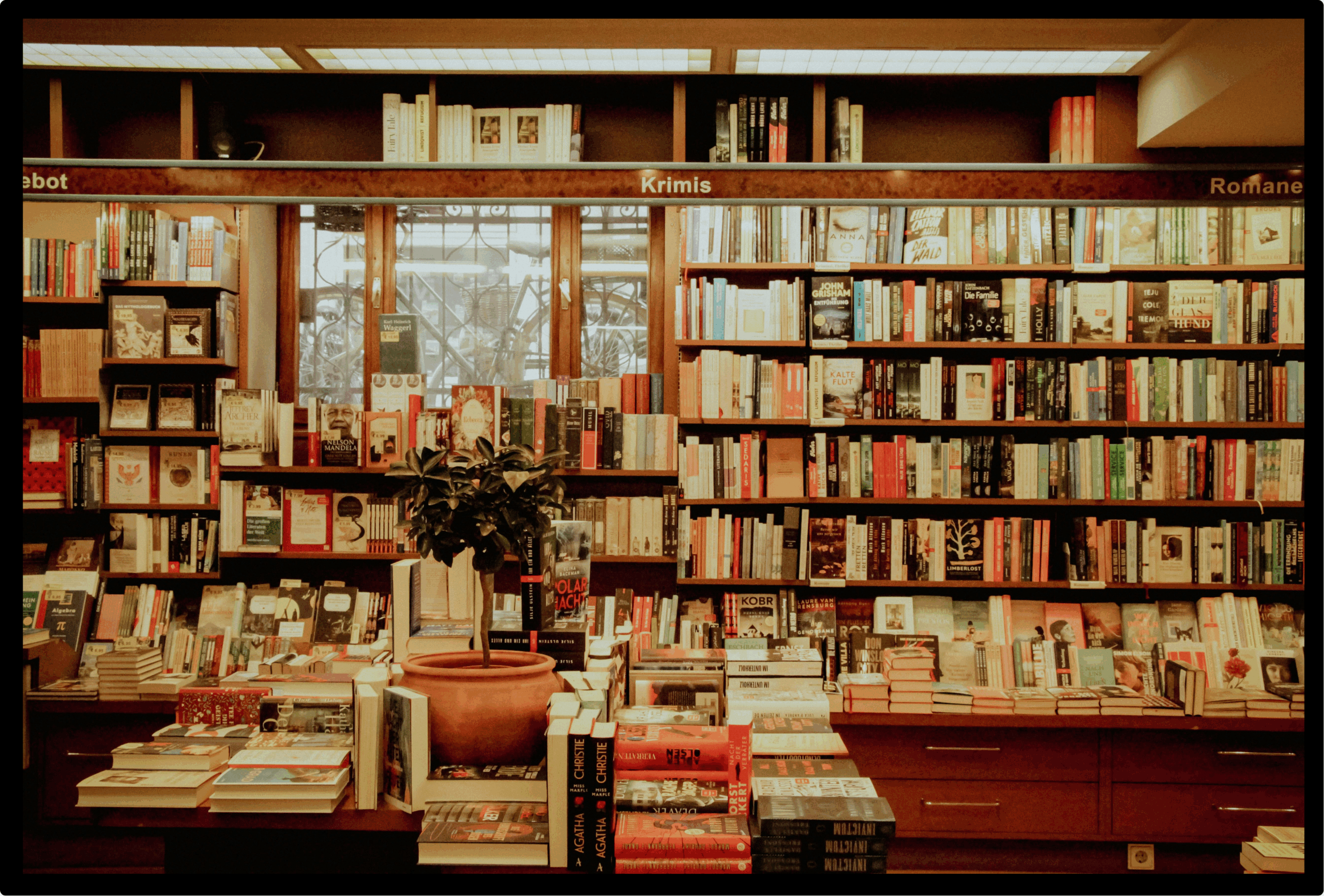 Shop Nukanga: Merch, Books, Agency Services